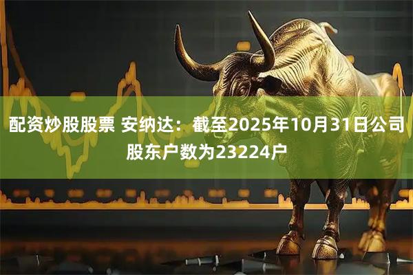 配资炒股股票 安纳达：截至2025年10月31日公司股东户数为23224户